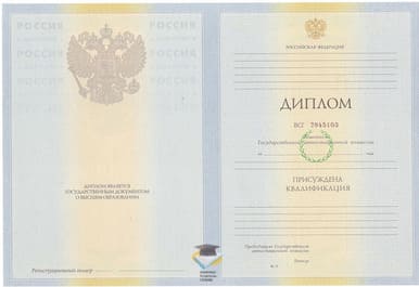 Диплом СурГУ 2010-2011 годов